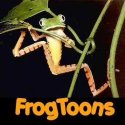 FrogToons